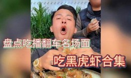 麻瓜也可以吃吗视频大全,视频大全带你领略魔法美食魅力