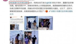 大家认真吃瓜视频大全集,深度解析“大家认真吃瓜视频大全集”背后的故事与笑料