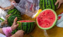 在办公室吃瓜视频