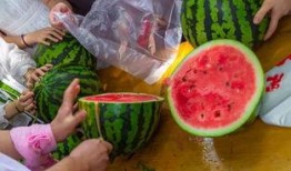 吃鱼吃瓜吃饭视频在线观看,在线观看吃鱼吃瓜吃饭视频盛宴