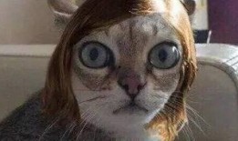 史上最惊呆的吃瓜视频