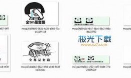 吃瓜表情包声音视频下载,趣味横生的网络潮流解析