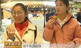 年轻人吃瓜新闻视频,新闻视频中的热点追踪与娱乐狂欢