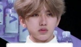 在线吃瓜蔡徐坤视频下载,揭秘网络红人的幕后生活