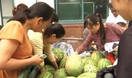 蓝田吃瓜群众事件视频