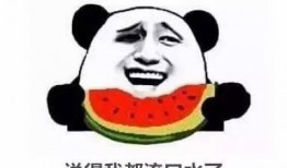 瓜娃子吃西瓜视频解说,趣味解说带你领略夏日清凉