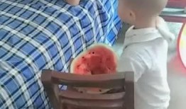 瓜哥被喂东西吃的视频在线观看,萌态可掬的可爱瞬间