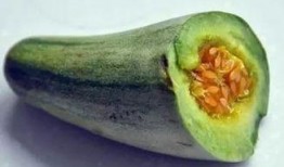 吃牛角瓜视频,视频带你领略独特风味