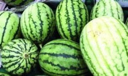 怎么快速看到吃瓜视频呢,快速浏览热门吃瓜视频！