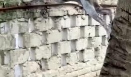 狗吃瓜邻居吵架视频