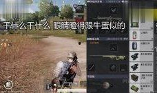 雷德团长吃瓜视频大全最新,盘点娱乐圈那些鲜为人知的幕后故事