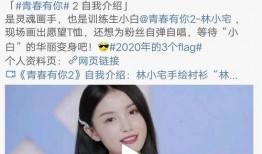 林小宅吃瓜的视频,揭秘娱乐圈幕后故事