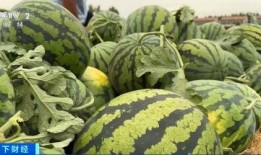 商丘吃瓜曝光事件视频,视频曝光引发网络热议