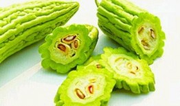 瓠瓜能吃瓤吗怎么吃的视频,瓠瓜瓤的食用方法与美味佳肴制作揭秘