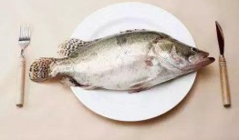 小鱼爱吃鱼吃瓜事件视频,一场关于瓜的趣味视频引发的美食狂欢