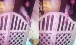 人吃瓜的视频大全播放,人吃瓜视频大全精彩瞬间回顾