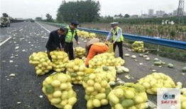 河南淇县吃瓜视频,揭秘当地特色美食文化