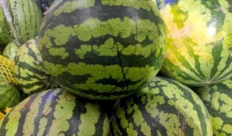 毛瓜如何快速切开吃视频,轻松享用美味毛瓜的秘诀