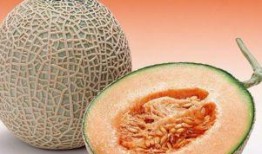 大杰吃哈密瓜视频大全下载,一网打尽全网热门下载