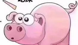 抖音爆火吃瓜图片搞笑视频,搞笑视频带你笑翻天