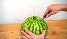 汉林府吃瓜视频,揭秘宫廷秘闻，带你领略宫廷生活百态