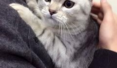 爆笑吃瓜视频合集,让你笑到肚子疼