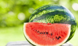 脆瓜西瓜可以吃吗视频教程,视频教程揭秘美味秘诀