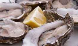 牡蛎瓜怎么吃最好呢视频,牡蛎瓜美味吃法大揭秘