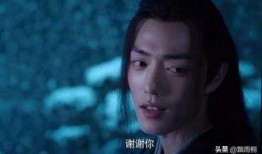 魏婴蓝湛吃瓜的视频,吃瓜视频曝光甜蜜瞬间