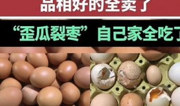 家里种的田瓜可以吃吗视频,自家田地里的美味果实