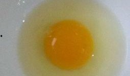 鸡蛋吃瓜视频大全,趣味横生的美食娱乐盛宴