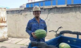 回村第一批人吃瓜群众视频,揭秘乡村生活新视角