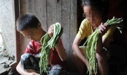 广河吃瓜姐弟是谁啊视频,网络爆红背后的故事