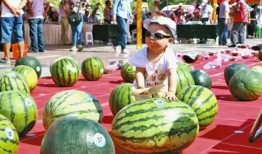 河南淇县吃瓜视频,揭秘当地特色美食文化