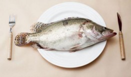 吃鱼吃瓜吃饭视频在线观看,在线观看吃鱼吃瓜吃饭视频盛宴