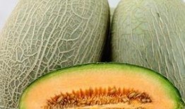 请你吃哈密瓜视频