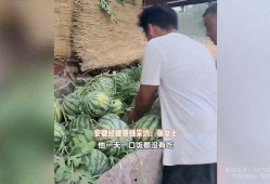 缅北最新吃瓜事件视频播放