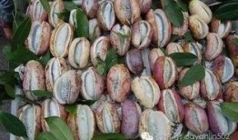 八月瓜头怎么吃才好吃视频,视频教你轻松解锁最佳食用方法