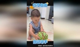 摆烂萌娃吃瓜视频大全免费观看,免费观看搞笑视频盛宴