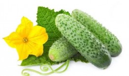 华妃吃酸瓜生宝宝视频大全,趣味视频大盘点