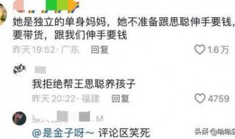 在线吃瓜泪奔视频播放,网友热议