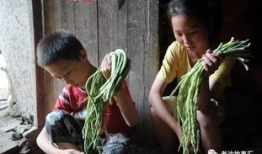 越南姐弟吃瓜视频大全免费观看,揭秘网络热传的趣味瞬间