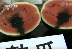 无瓜可吃的图片大全集视频,趣味图片大全集视频精彩回顾