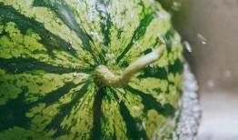 中国人吃蚕瓜视频,探寻中国独特风味