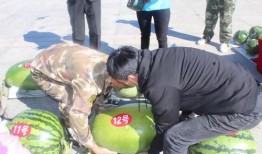 三个马吃瓜视频