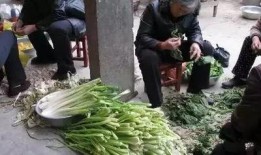 邳州小营事件吃瓜视频,吃瓜群众视角下的真相揭秘