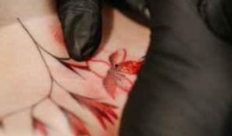 刺青阿诗吃瓜视频,揭秘网红美食背后的故事