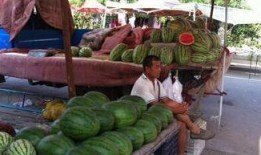 东营吃瓜新闻视频大全最新,盘点那些令人捧腹的瞬间