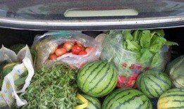 十堰吃瓜事件视频播放全集,视频全集揭秘惊人真相