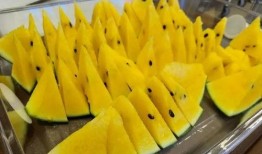 人吃瓜的真实情况视频大全,趣味视频大盘点